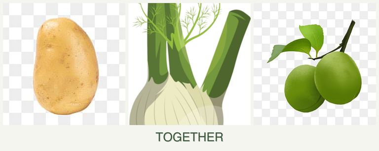 Can you plant potatoes, fennel and plums together?