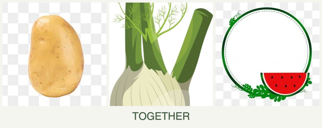 Can you plant potatoes, fennel and watermelons together?