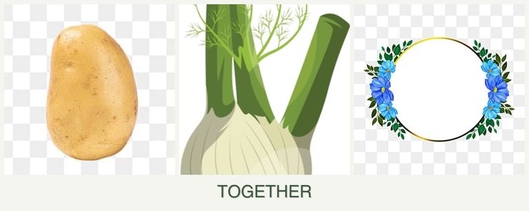 Can you plant potatoes, fennel and zinnias together?