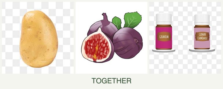Can you plant potatoes, figs and geraniums together?