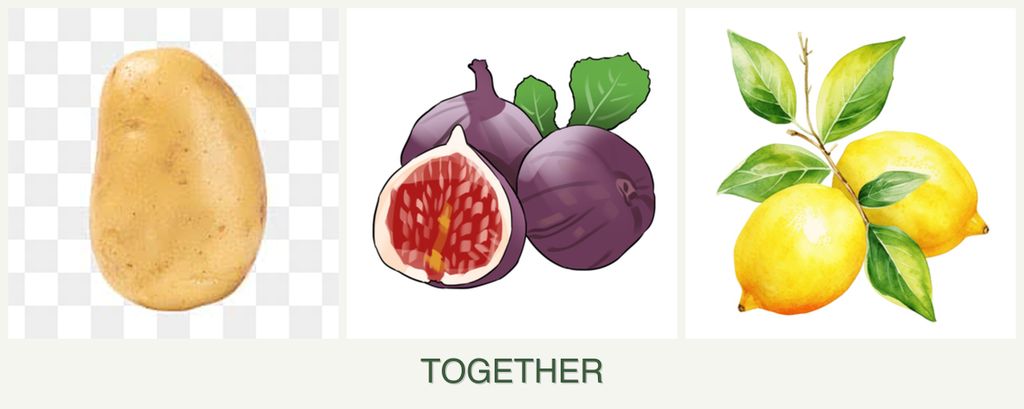 Can you plant potatoes, figs and lemons together?