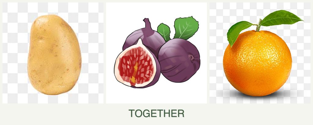 Can you plant potatoes, figs and oranges together?