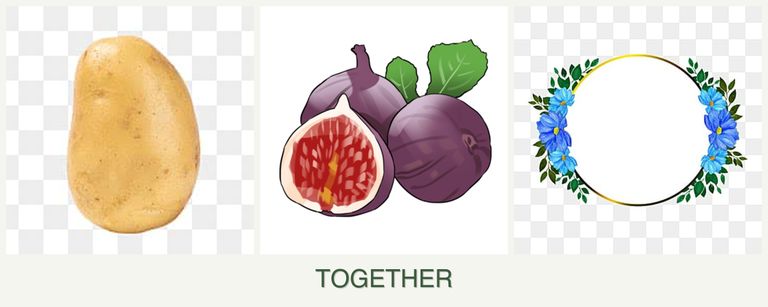 Can you plant potatoes, figs and zinnias together?