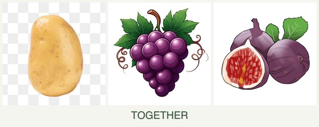 Can you plant potatoes, grapes and figs together?