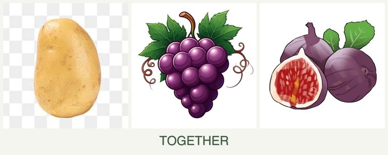 Can you plant potatoes, grapes and figs together?
