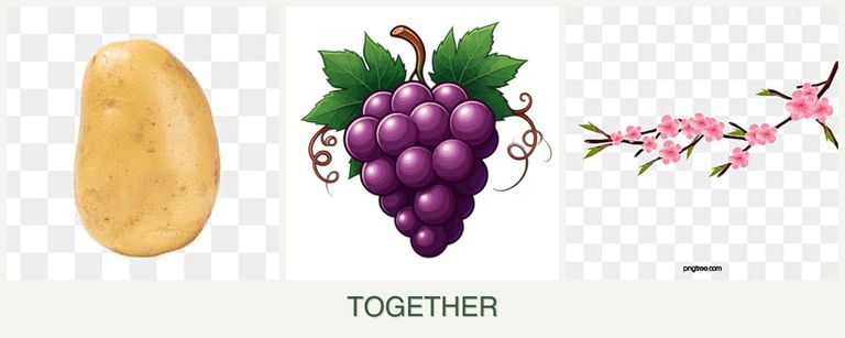 Can you plant potatoes, grapes and peaches together?