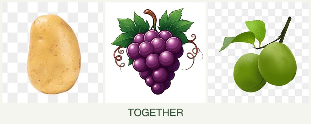 Can you plant potatoes, grapes and plums together?