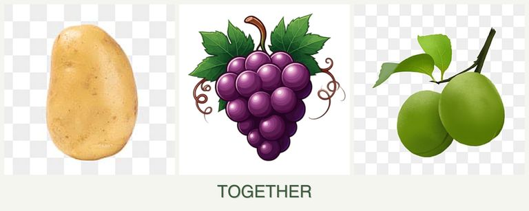 Can you plant potatoes, grapes and plums together?
