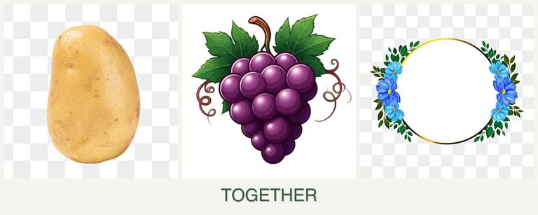 Can you plant potatoes, grapes and zinnias together?