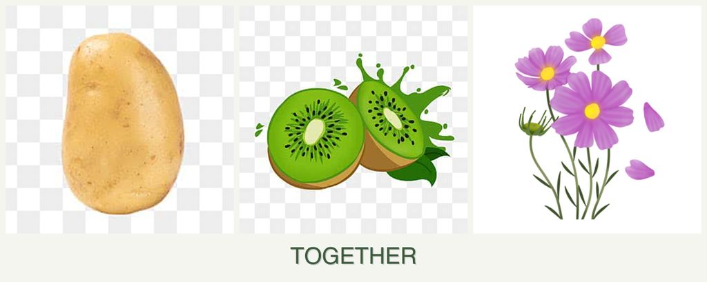 Can you plant potatoes, kiwi and cosmos together?