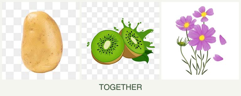 Can you plant potatoes, kiwi and cosmos together?