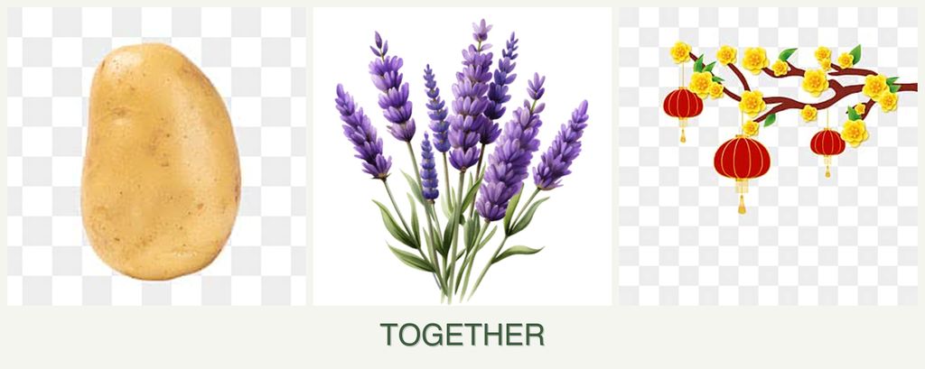 Can you plant potatoes, lavender and apricots together?