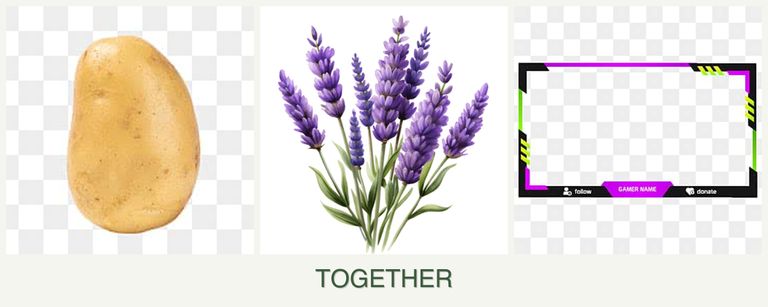 Can you plant potatoes, lavender and limes together?