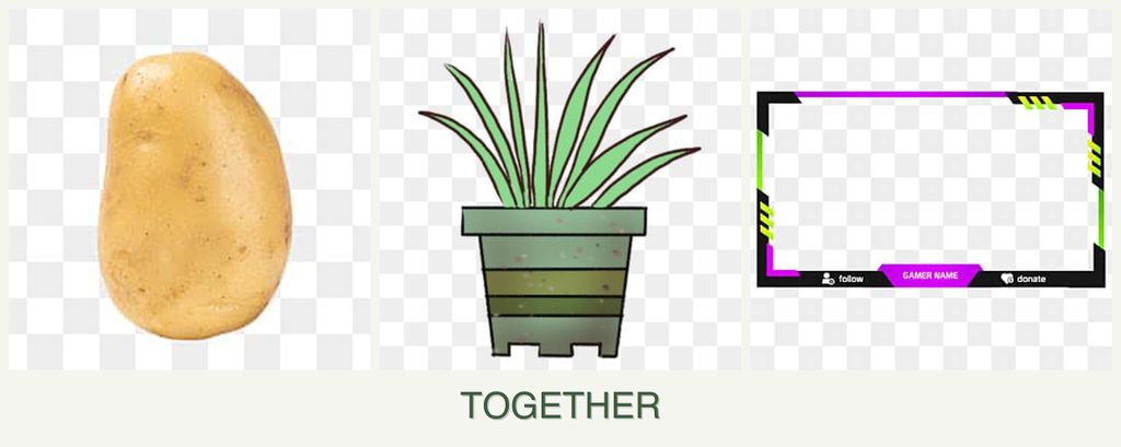 Can you plant potatoes, lemongrass and limes together?