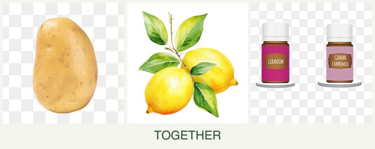 Can you plant potatoes, lemons and geraniums together?