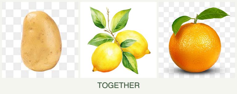 Can you plant potatoes, lemons and oranges together?