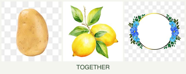 Can you plant potatoes, lemons and zinnias together?