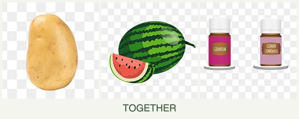 Can you plant potatoes, melons and geraniums together?
