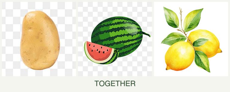 Can you plant potatoes, melons and lemons together?