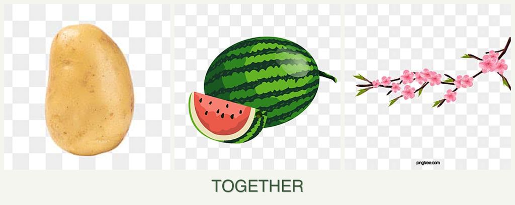 Can you plant potatoes, melons and peaches together?