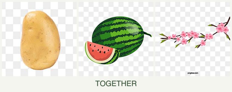 Can you plant potatoes, melons and peaches together?