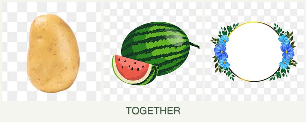 Can you plant potatoes, melons and zinnias together?