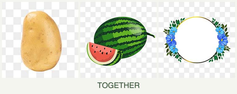 Can you plant potatoes, melons and zinnias together?