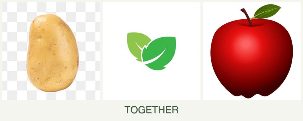 Can you plant potatoes, mint and apples together?