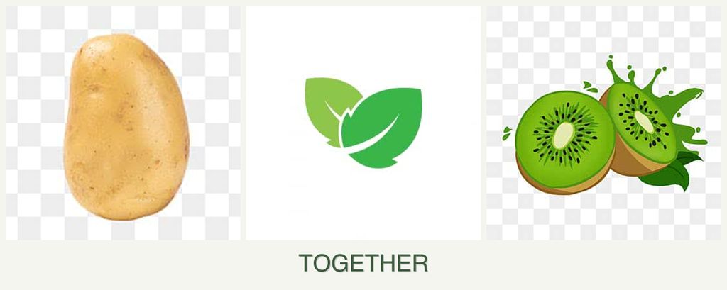 Can you plant potatoes, mint and kiwi together?