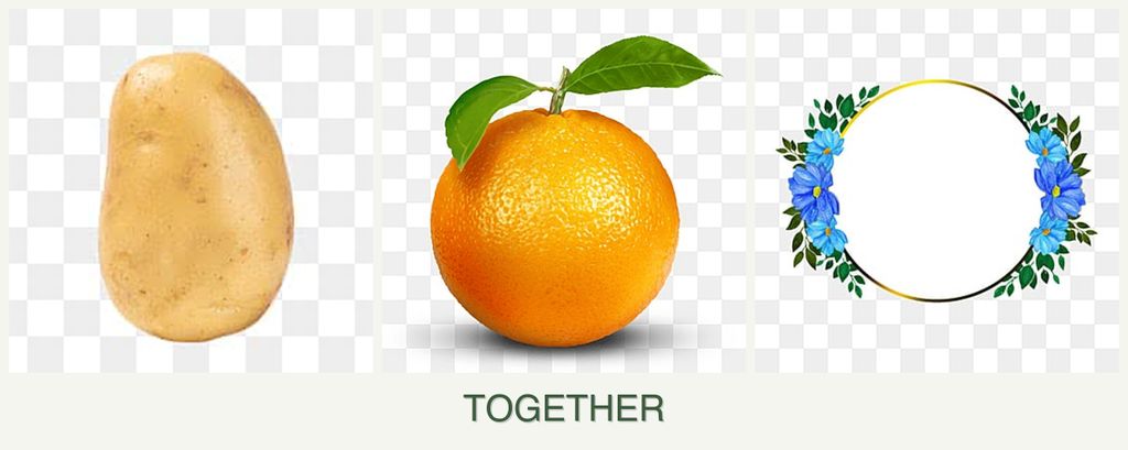 Can you plant potatoes, oranges and zinnias together?