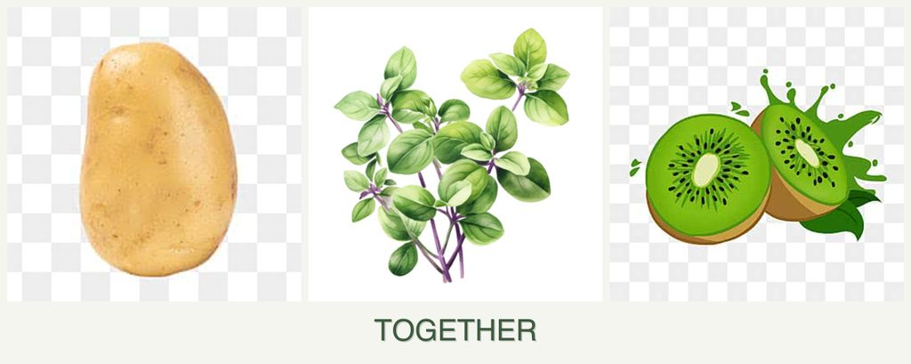 Can you plant potatoes, oregano and kiwi together?