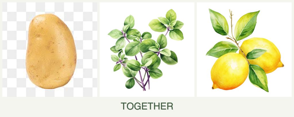 Can you plant potatoes, oregano and lemons together?