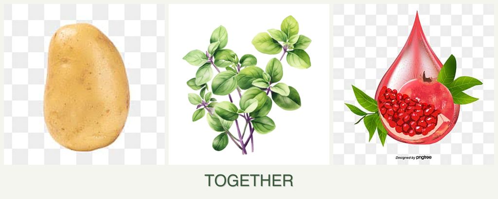 Can you plant potatoes, oregano and pomegranates together?