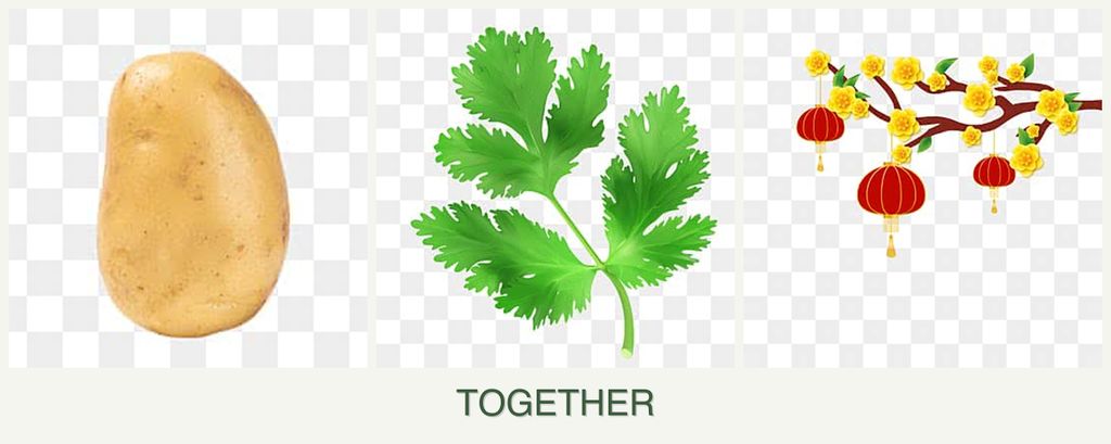Can you plant potatoes, parsley and apricots together?