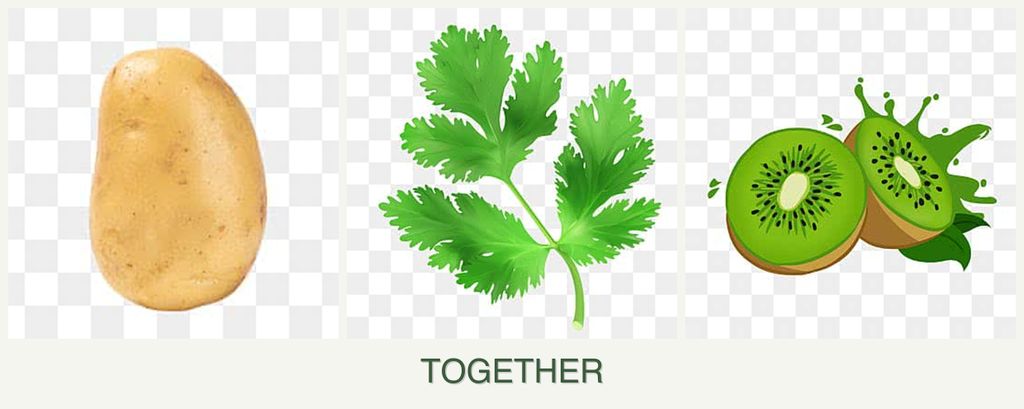 Can you plant potatoes, parsley and kiwi together?