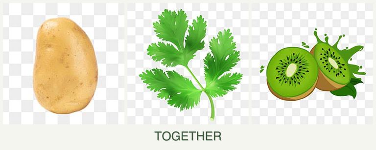 Can you plant potatoes, parsley and kiwi together?