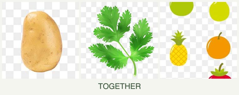 Can you plant potatoes, parsley and pears together?