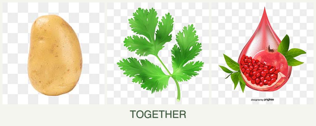 Can you plant potatoes, parsley and pomegranates together?