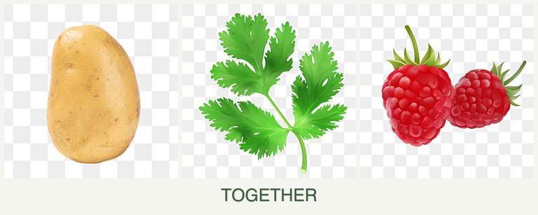 Can you plant potatoes, parsley and raspberries together?