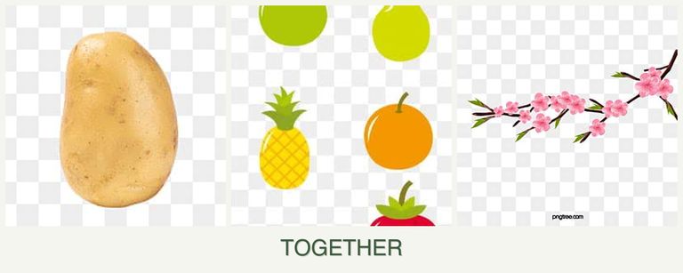 Can you plant potatoes, pears and peaches together?
