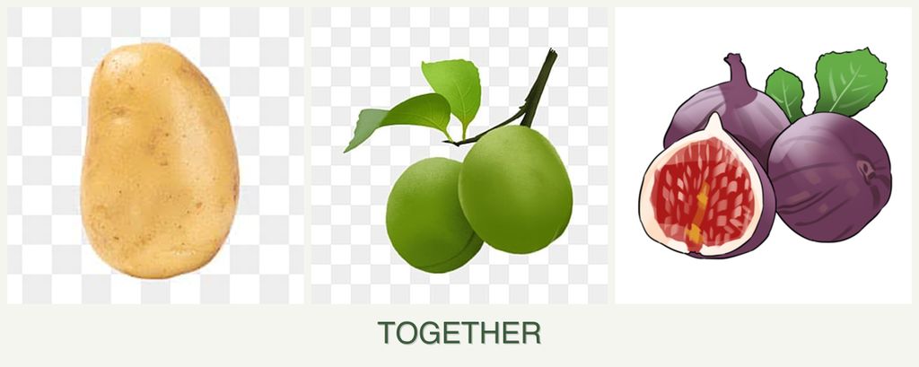 Can you plant potatoes, plums and figs together?