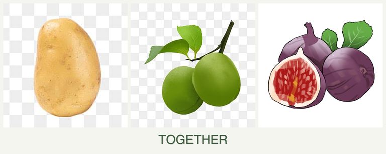 Can you plant potatoes, plums and figs together?