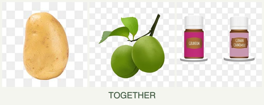 Can you plant potatoes, plums and geraniums together?