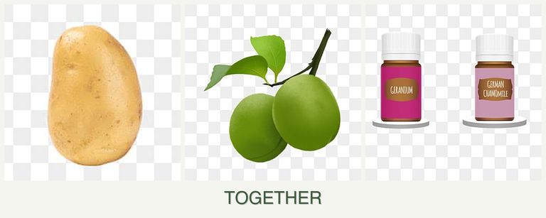 Can you plant potatoes, plums and geraniums together?