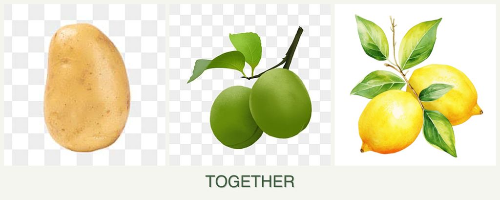 Can you plant potatoes, plums and lemons together?