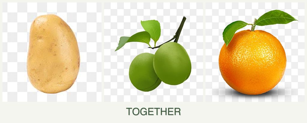 Can you plant potatoes, plums and oranges together?