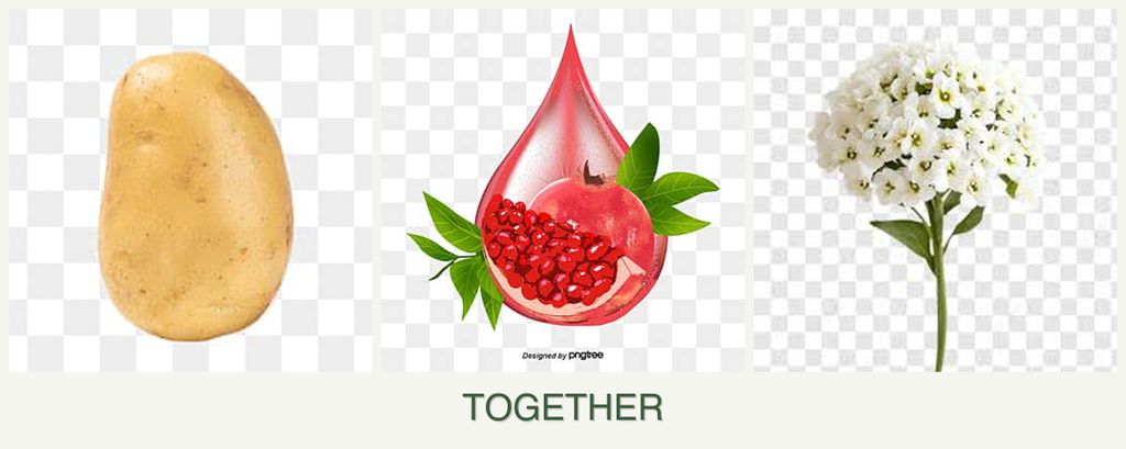 Can you plant potatoes, pomegranates and alyssum together?