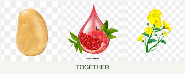 Can you plant potatoes, pomegranates and calendula together?