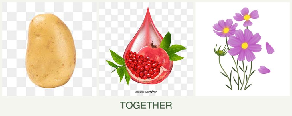Can you plant potatoes, pomegranates and cosmos together?