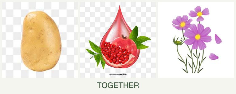 Can you plant potatoes, pomegranates and cosmos together?